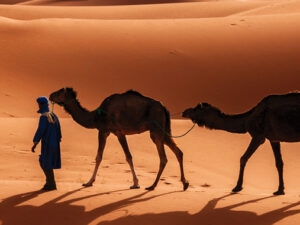 Colors of Morocco    Oct 1 – 15, 2026